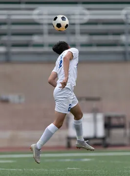 运动品牌联合专区